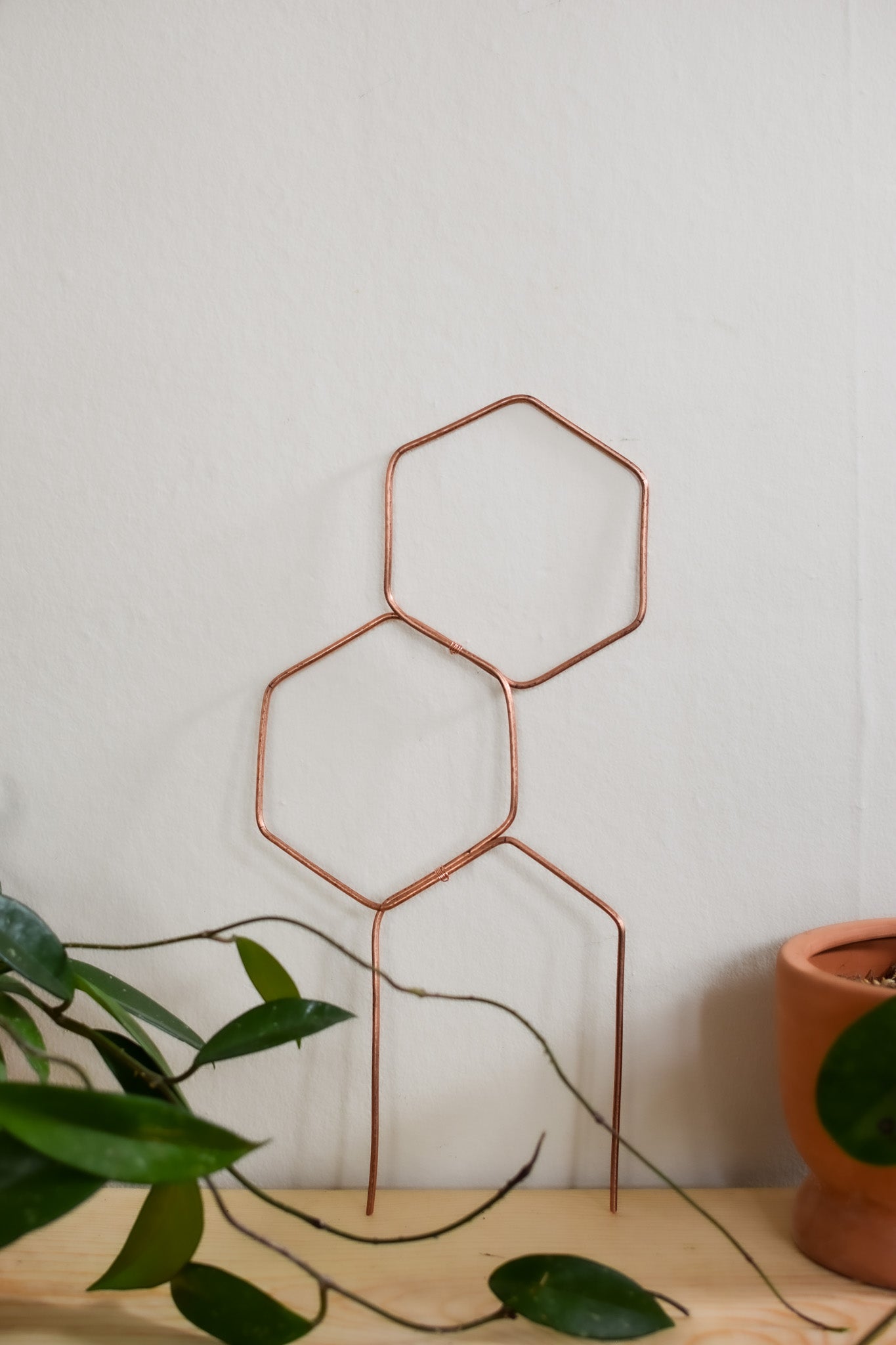 Double Hexagon Trellis