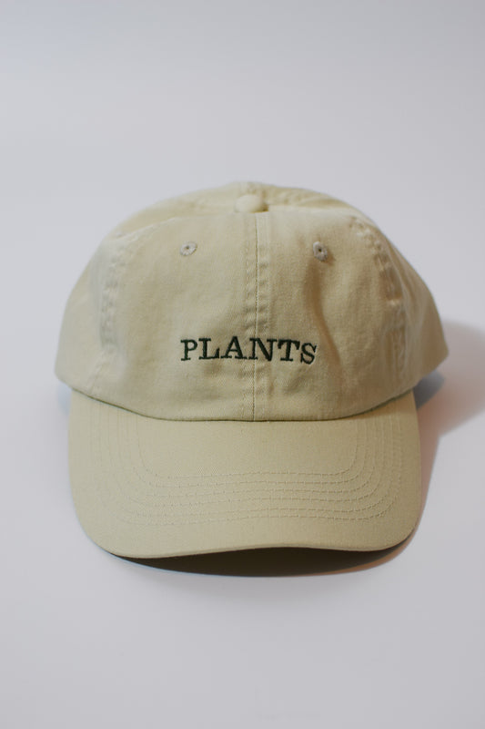 Plants Hat- Cream/Dark Green