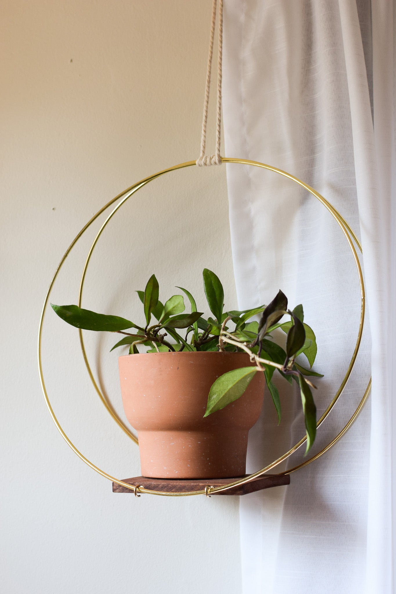 Brass Hoop and Wood Plant Hanger