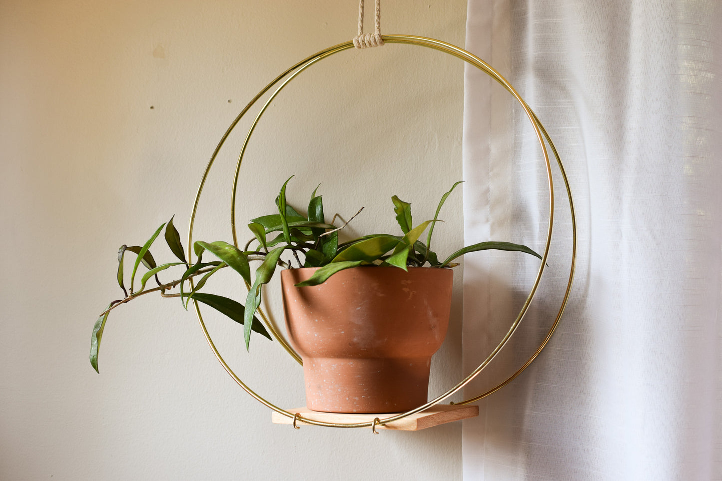 Brass Hoop and Wood Plant Hanger