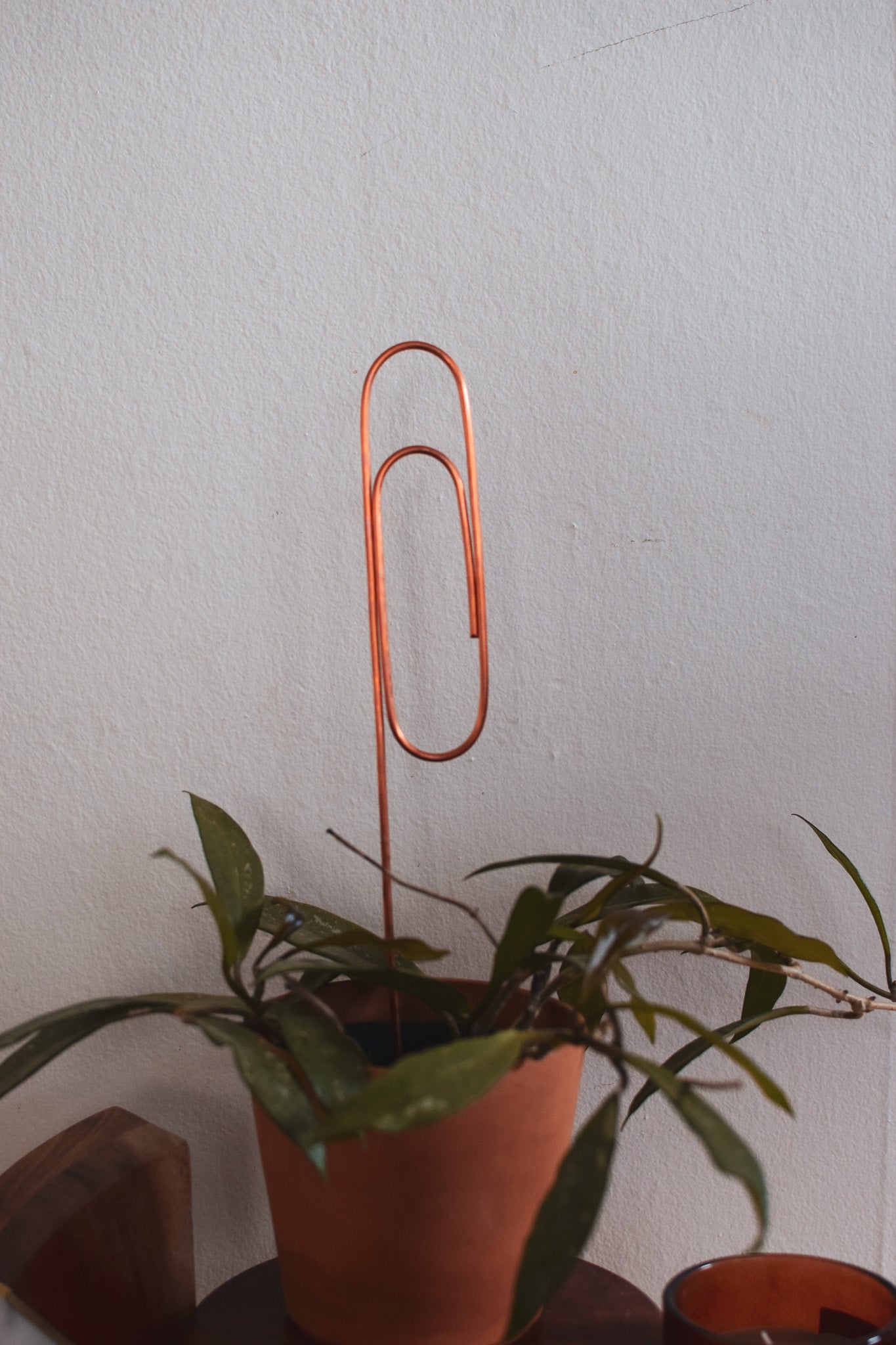 Paperclip Plant Stick