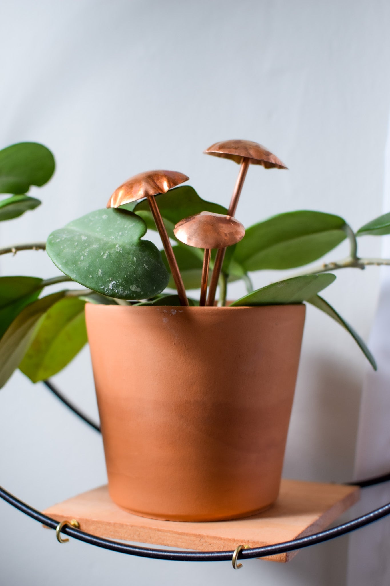 Copper Mushroom Plant Decor