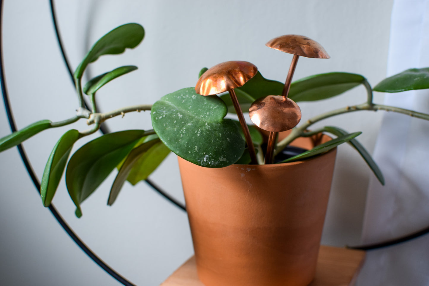 Copper Mushroom Plant Decor